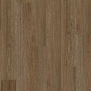 Natural Creations ArborArt | Morning Spotted Gum gallery detail image