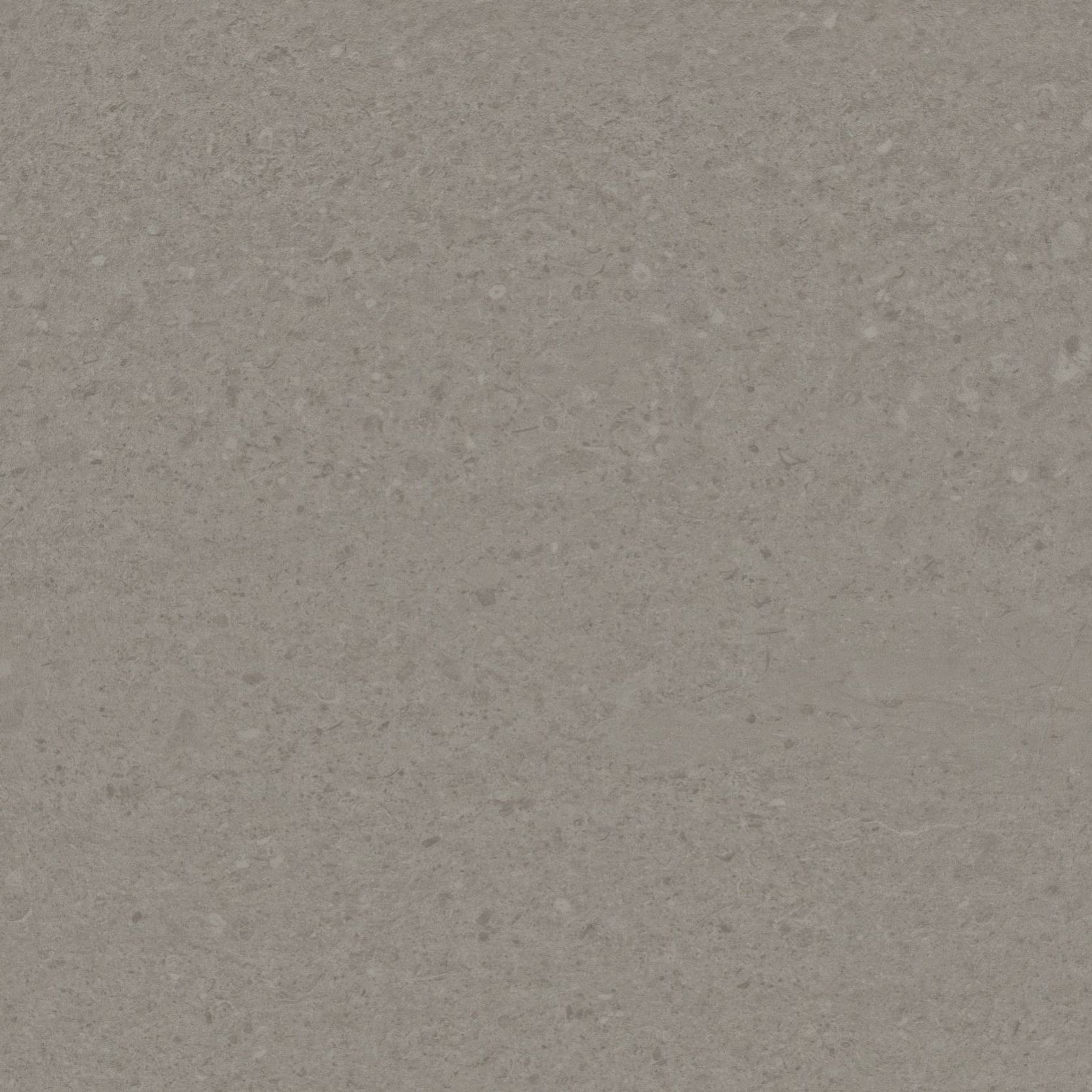 Natural Creations EarthCuts | Polished Concrete L.Grey gallery detail image