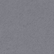 Altro Classic™ X25 - R11 Safety Flooring gallery detail image