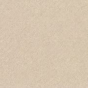 Altro Pisces™ - R11 Bathroom  Flooring gallery detail image