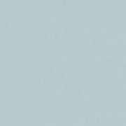 Altro Pisces™ - R11 Bathroom  Flooring gallery detail image