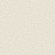 Accolade Plus | Spice White gallery detail image
