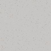 Natralis | Bilby gallery detail image