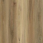 Aussie Plank gallery detail image