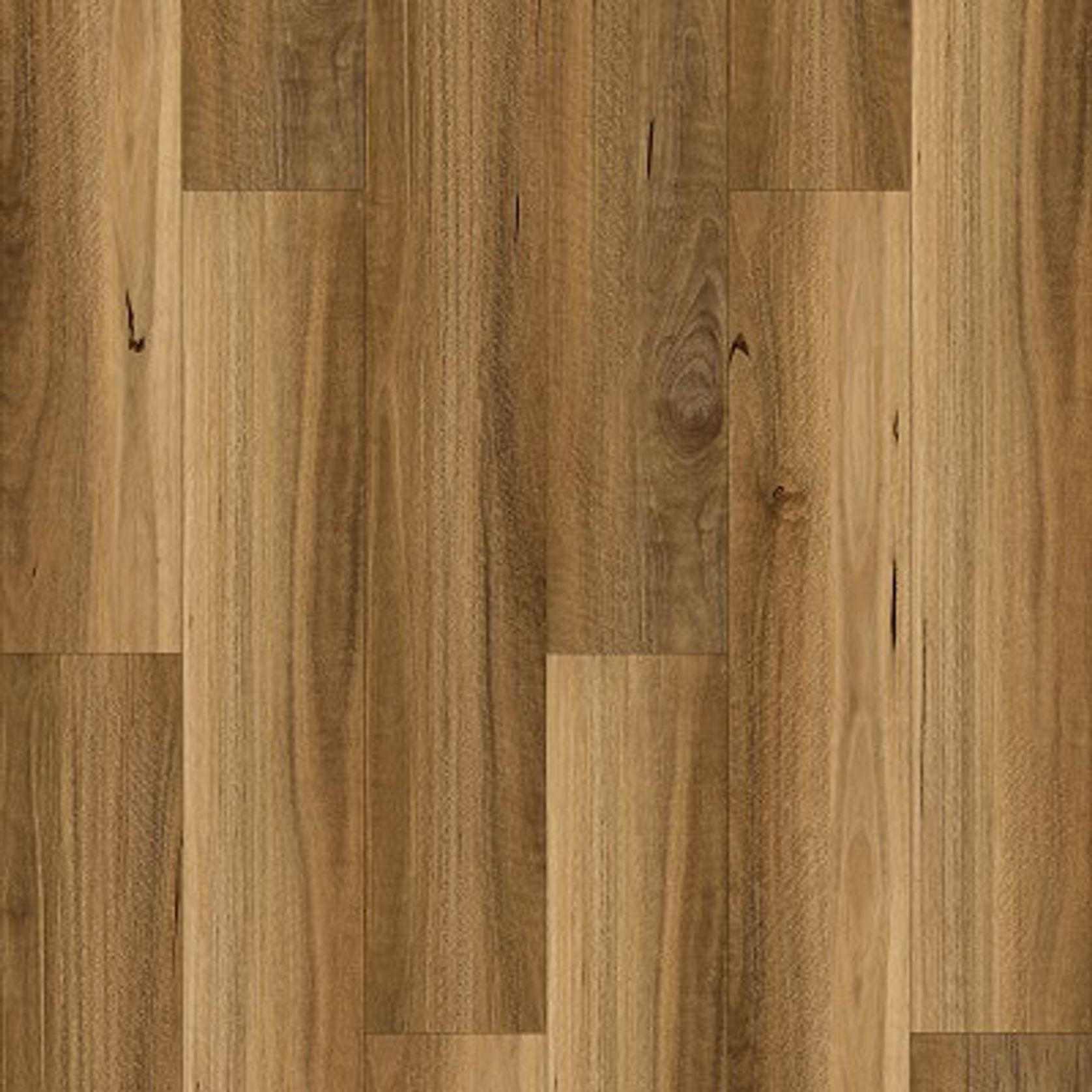 Venture gallery detail image