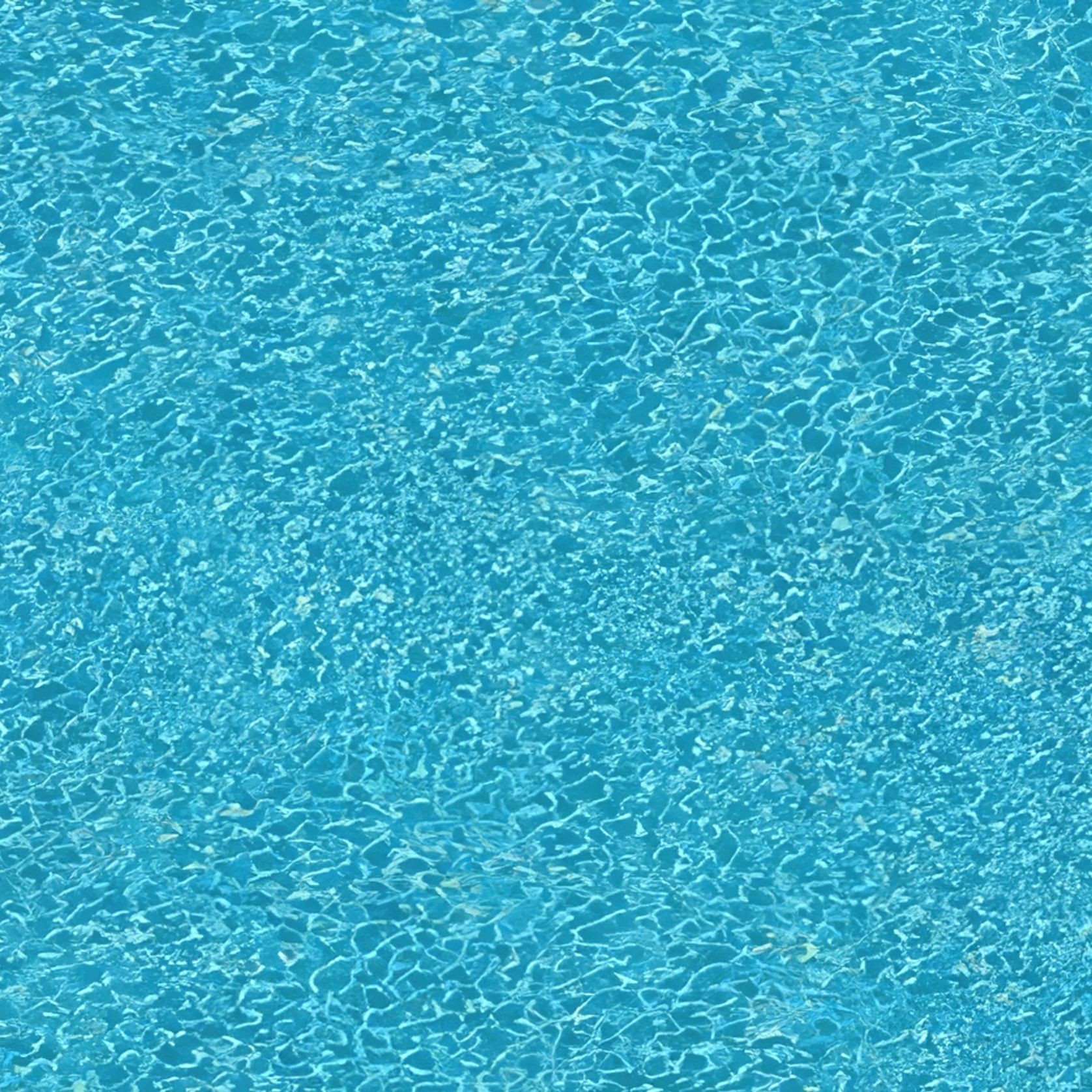 Altro Orchestra™ Custom 'Front of House' Flooring gallery detail image
