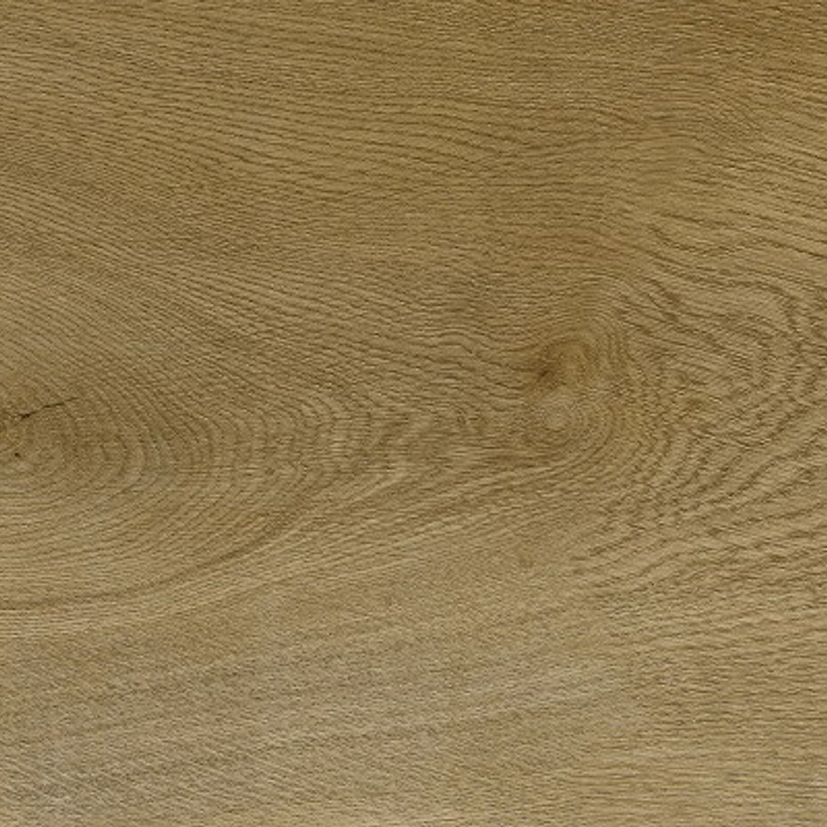 Nova gallery detail image