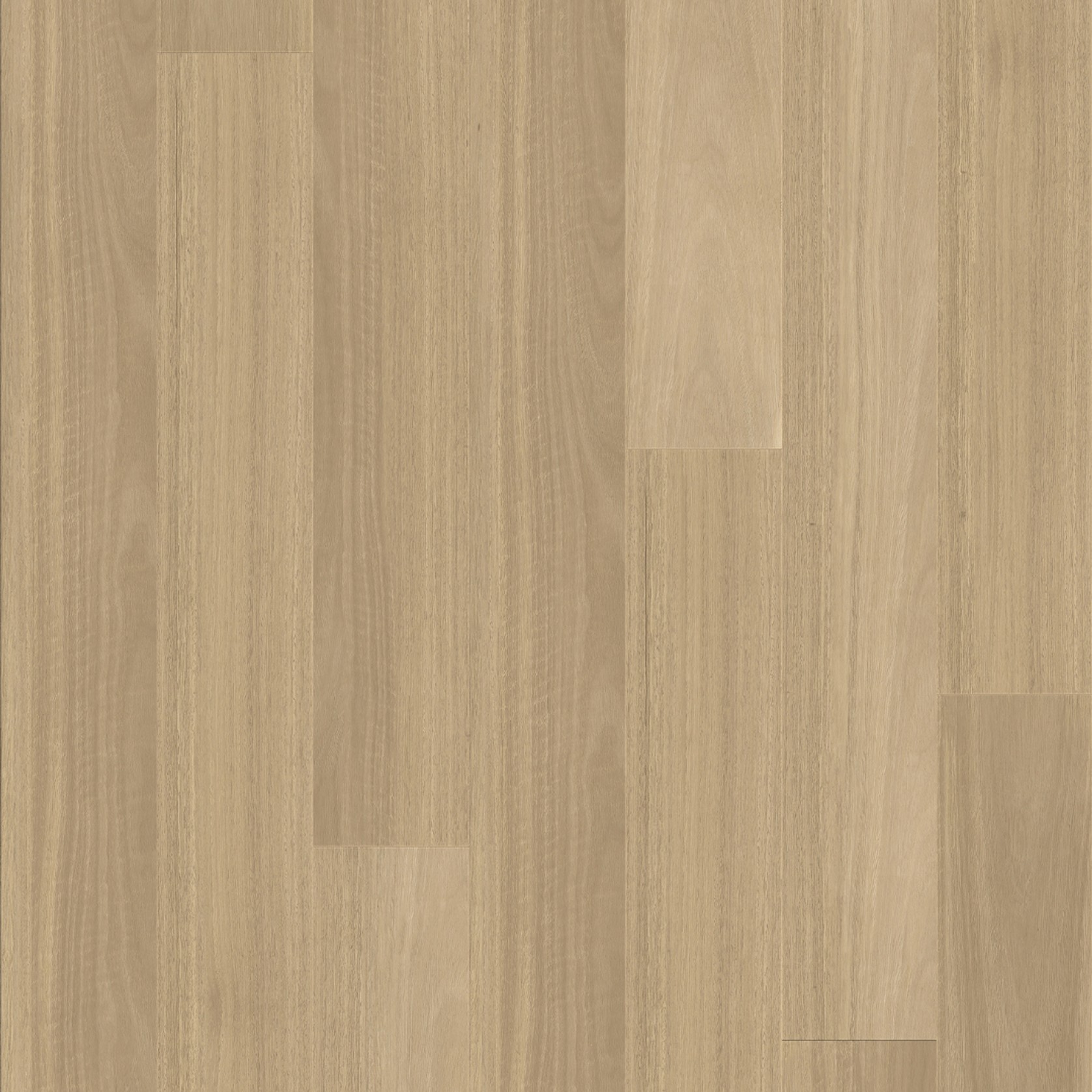 Kingswood Australis | Linen Gum gallery detail image