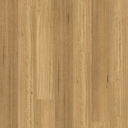 Kingswood Australis | Sanded Blackbutt gallery detail image