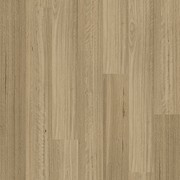 Kingswood Australis | Somerset Blackbutt gallery detail image