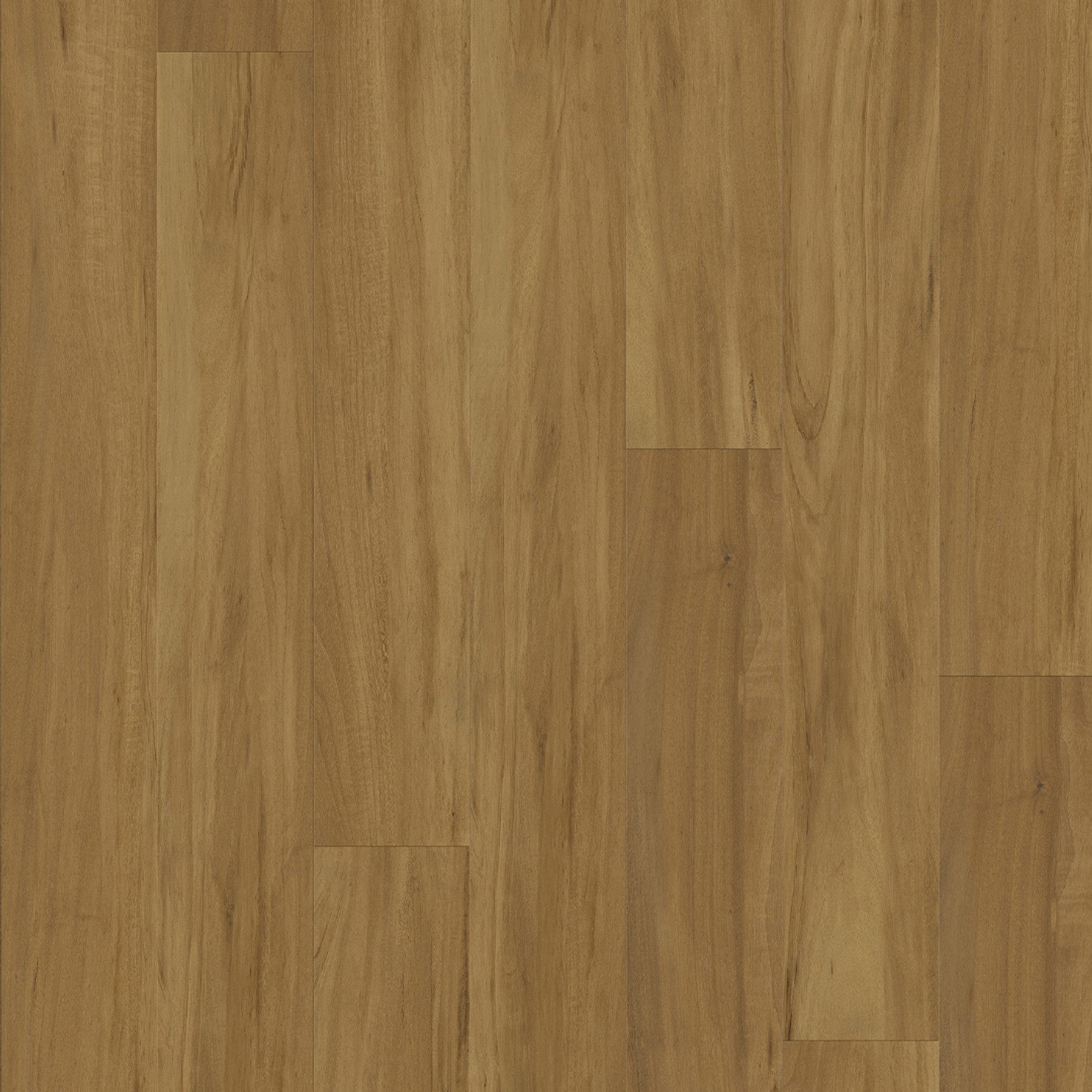 Kingswood Australis | Wormy Chestnut gallery detail image