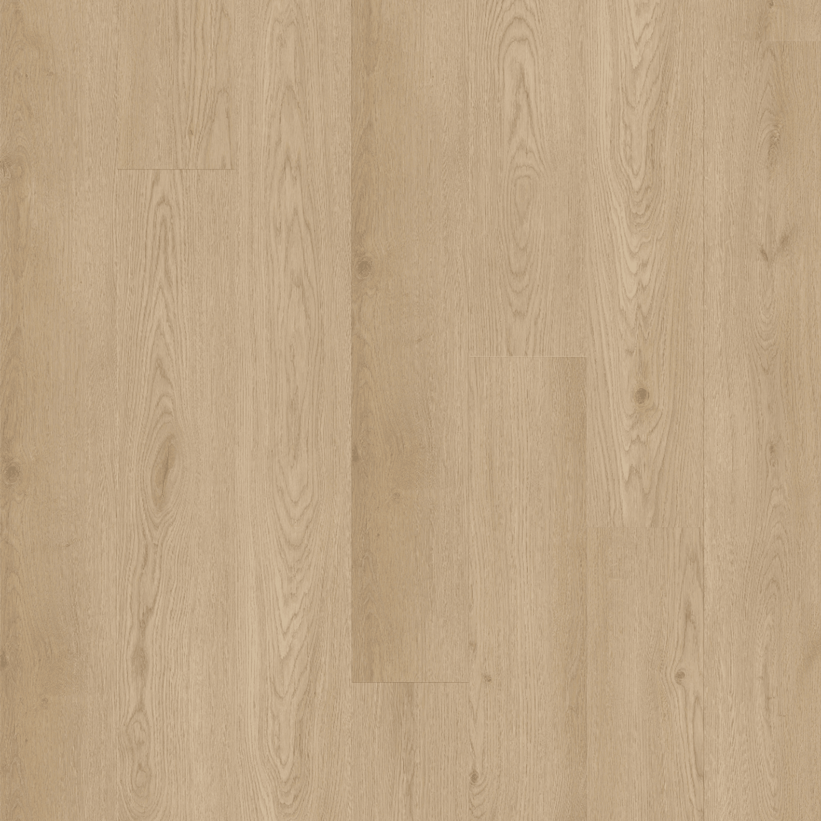Kingswood Select Oak | Jamieson Oak gallery detail image