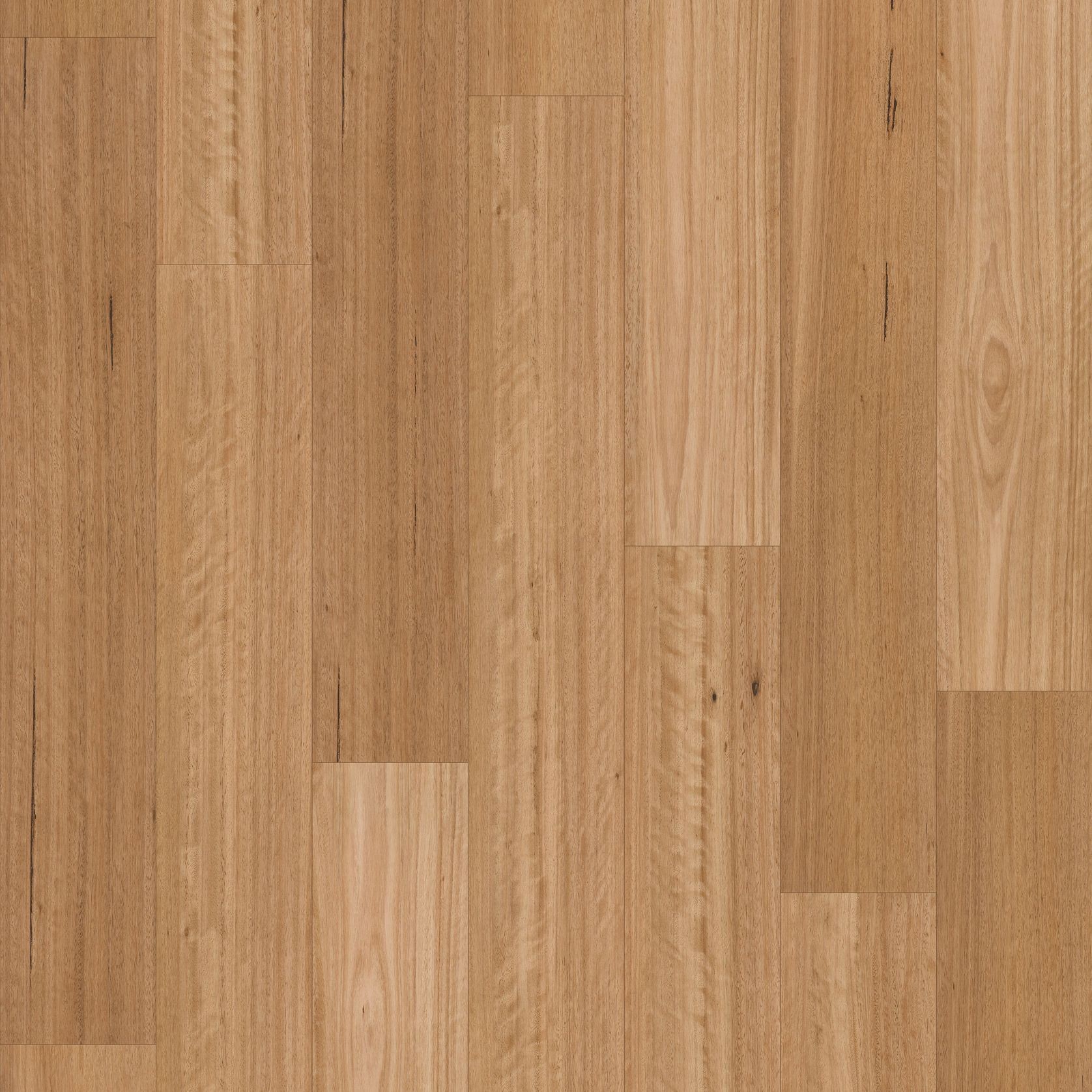 Chesterfield | Silky Blackbutt gallery detail image