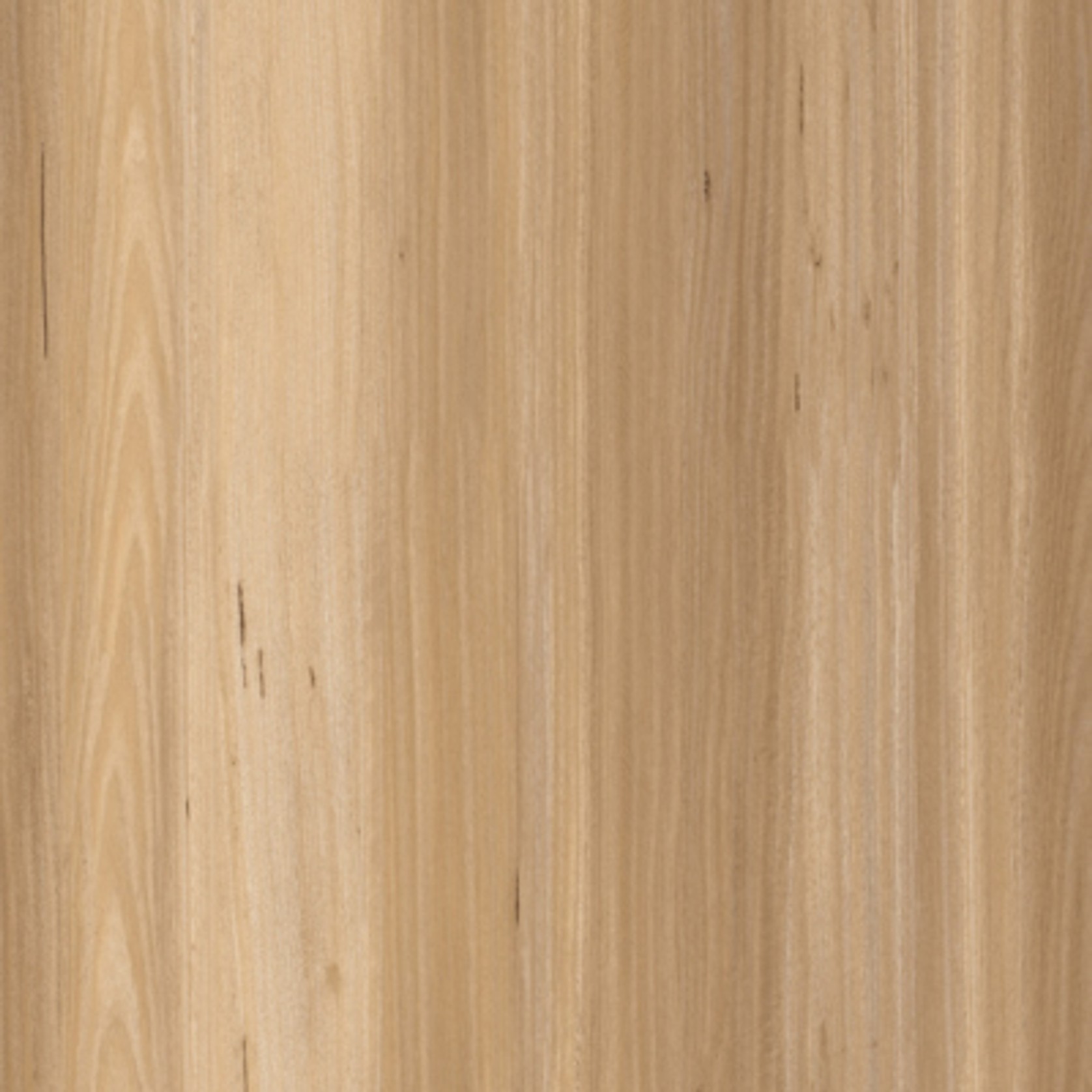 Aussie Plank gallery detail image