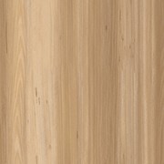 Aussie Plank gallery detail image
