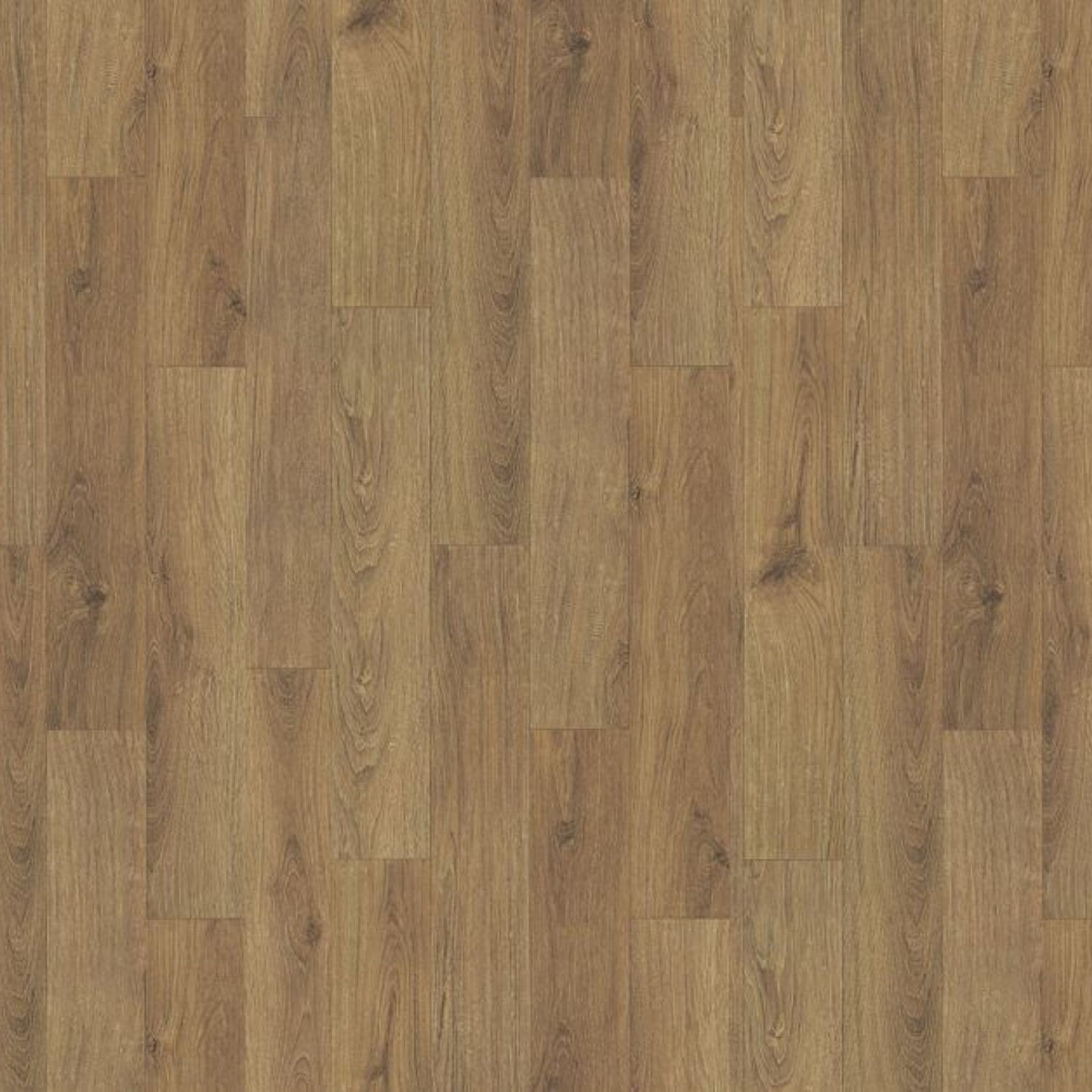 Timberline Plus | Luci Plus gallery detail image