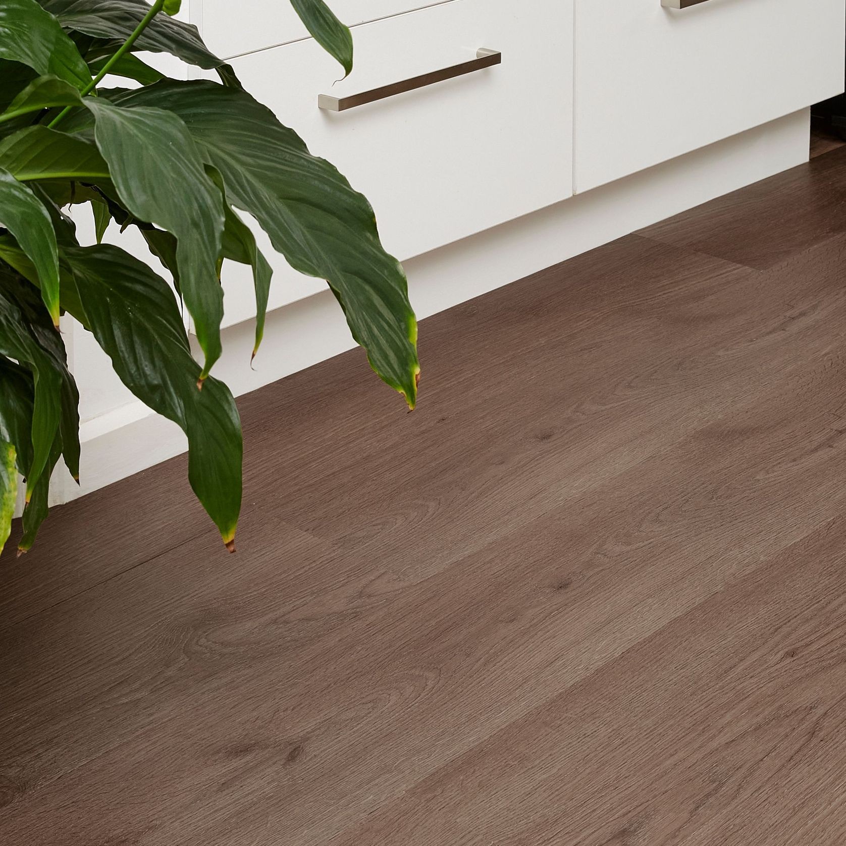 Kingswood Select Oak | Malt Oak gallery detail image