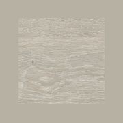 Nova gallery detail image