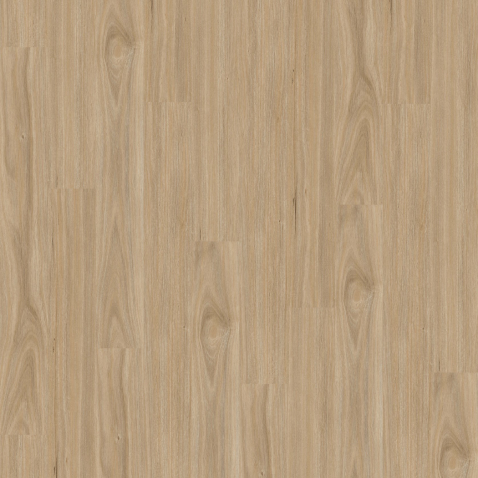 Natural Creations ArborArt | Twilight Tasmanian Oak gallery detail image
