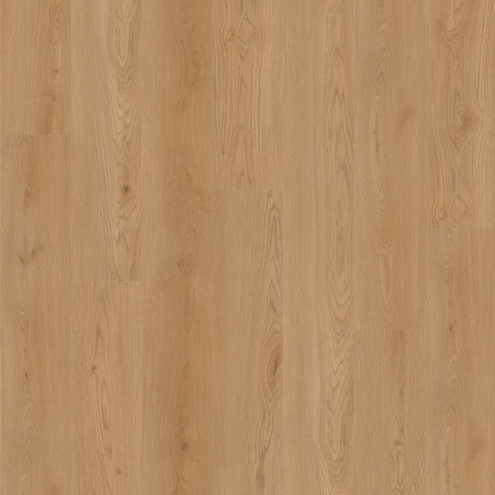 Natural Creations Longplank | Grand Euro Oak gallery detail image