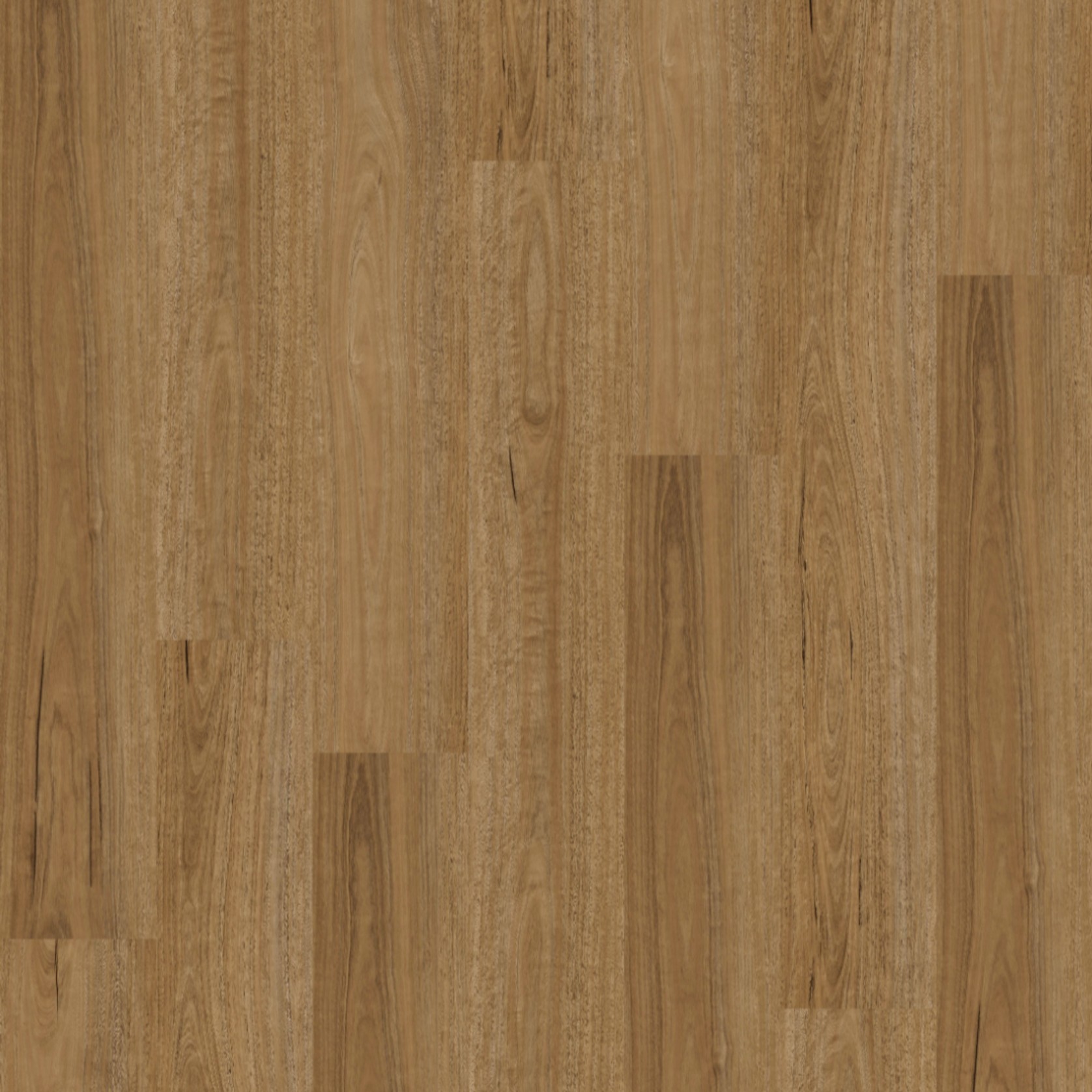 Natural Creations XL | Spotted Gum gallery detail image