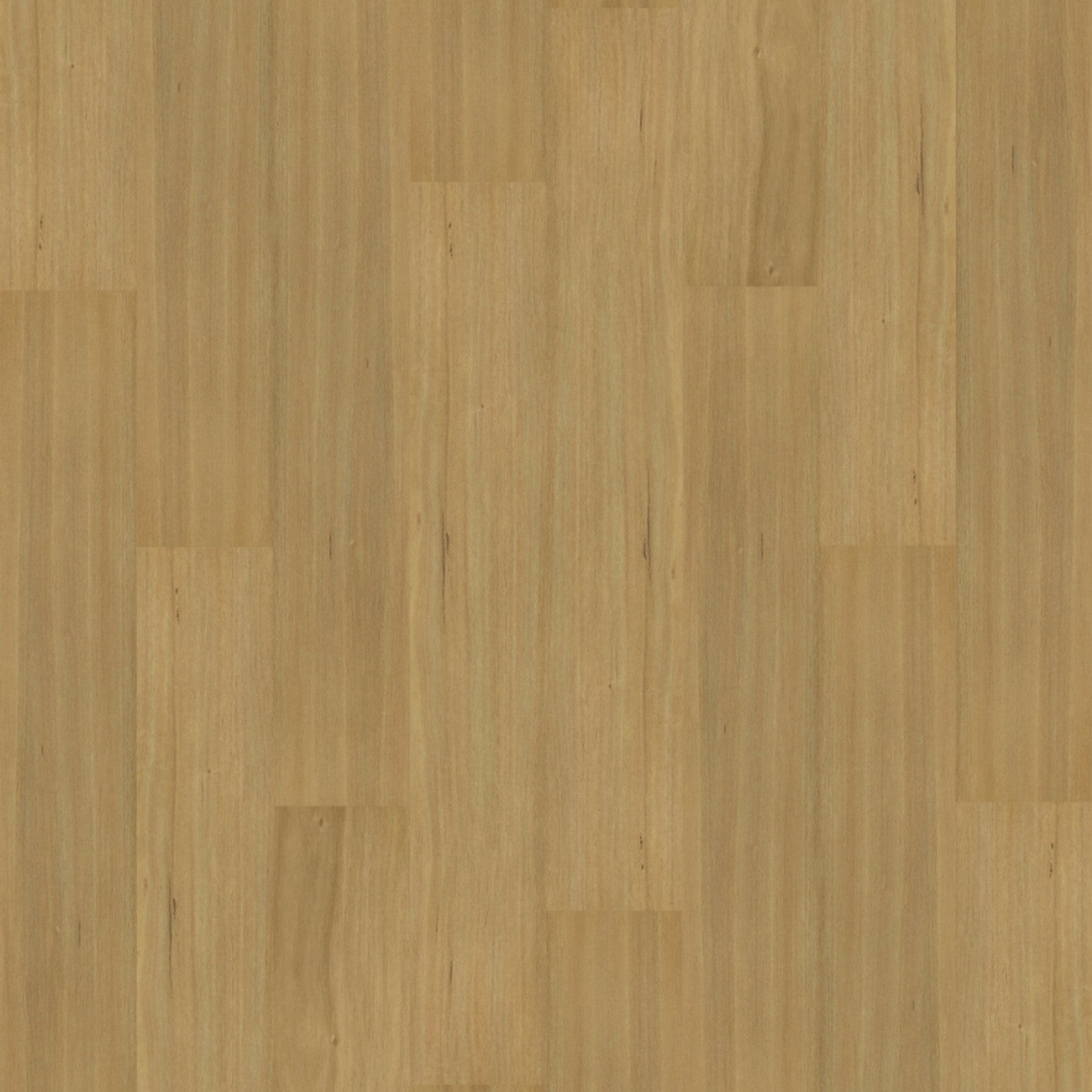 Natural Creations XL | Tasmanian Oak gallery detail image