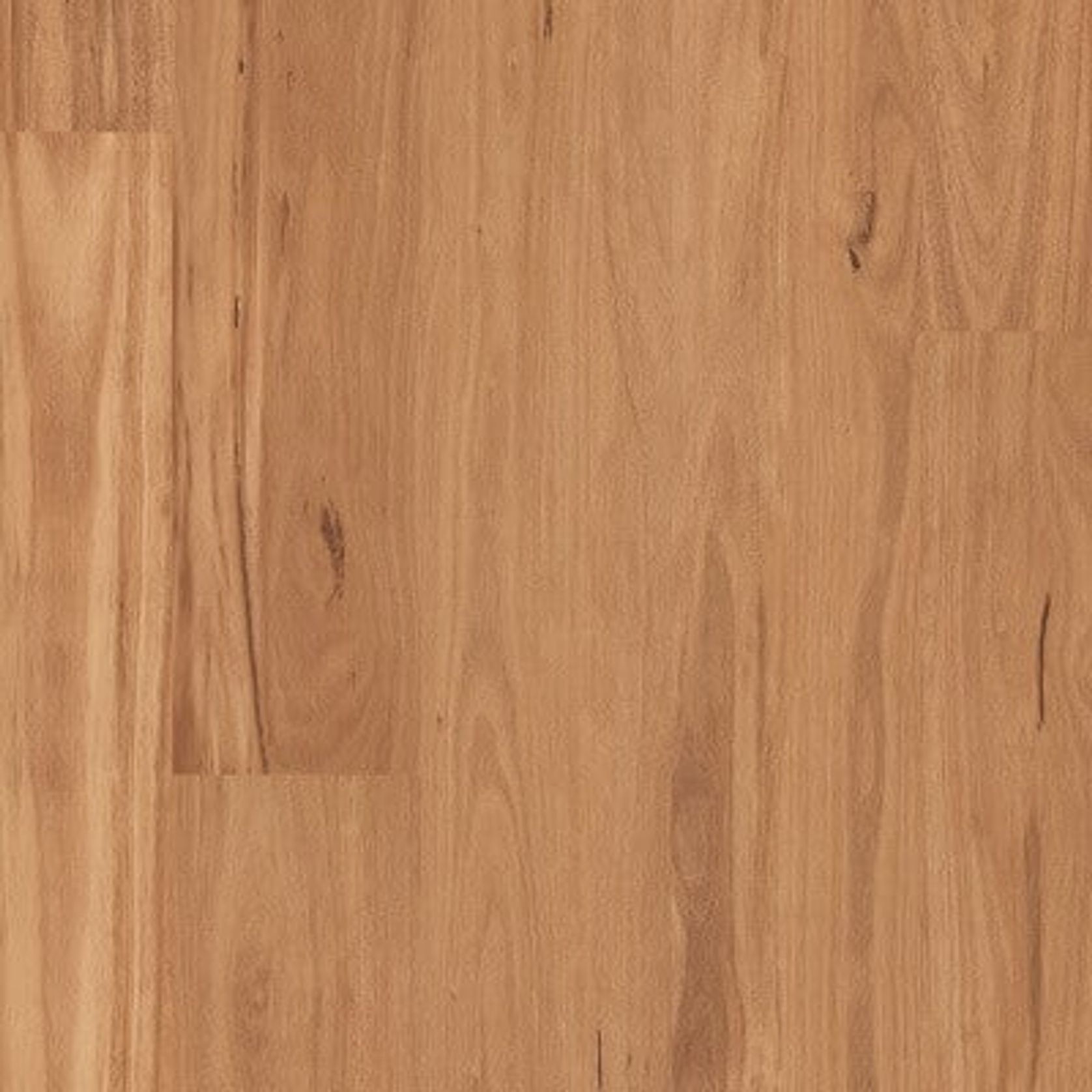 Korlok gallery detail image