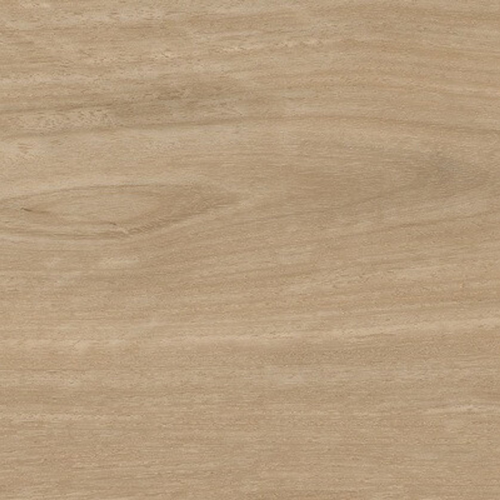 Nova gallery detail image