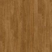 Timberline Plus | Solid Plus gallery detail image