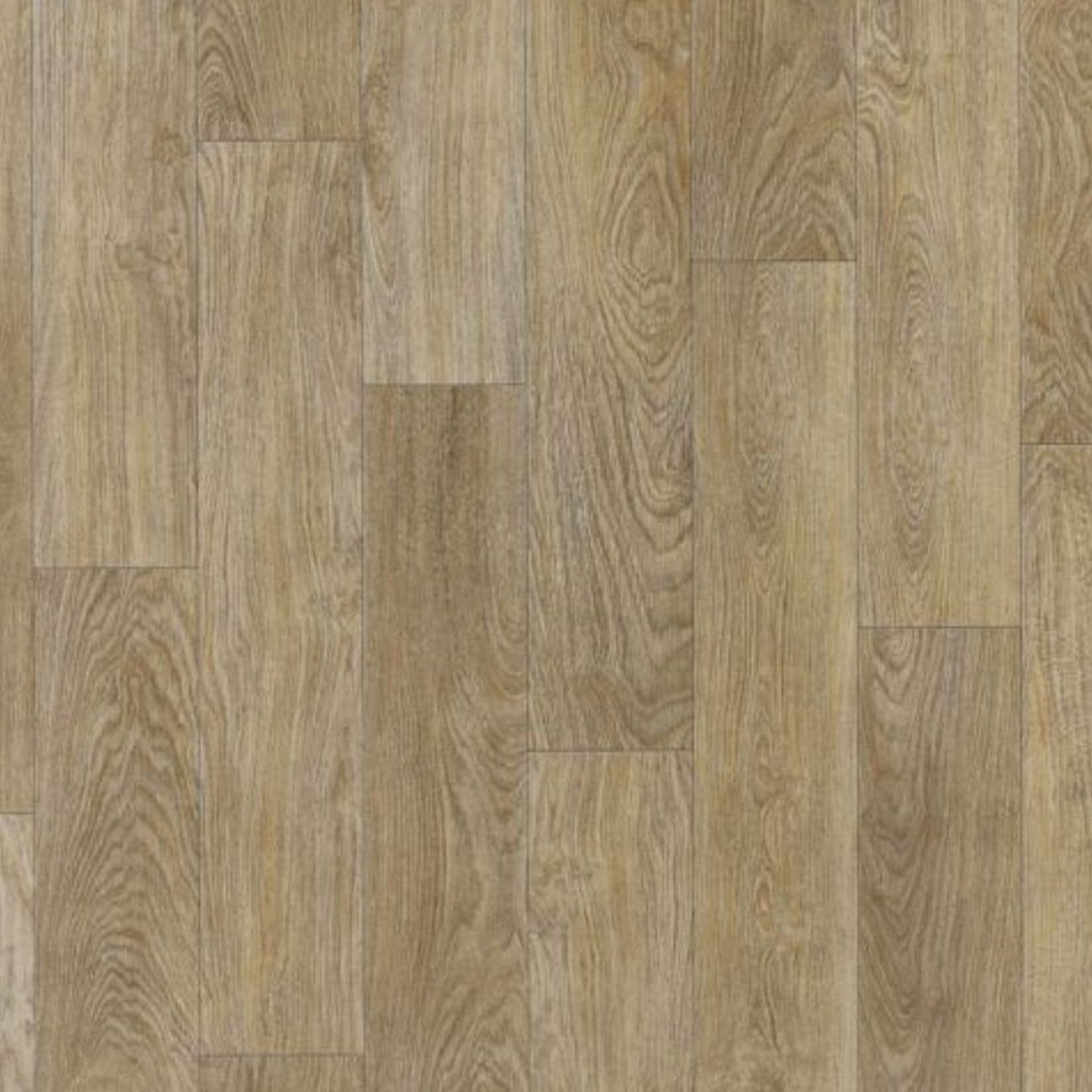 Timberline Plus | Solu Plus gallery detail image