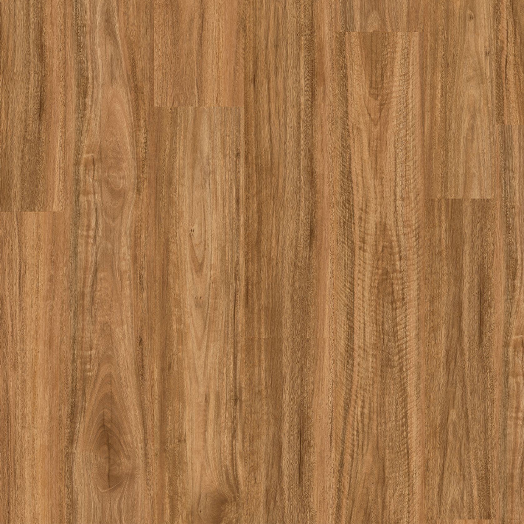 Titan Hybrid Spotted Gum gallery detail image