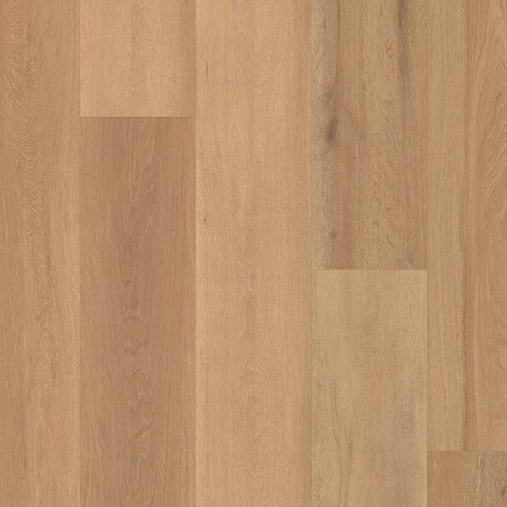Korlok gallery detail image