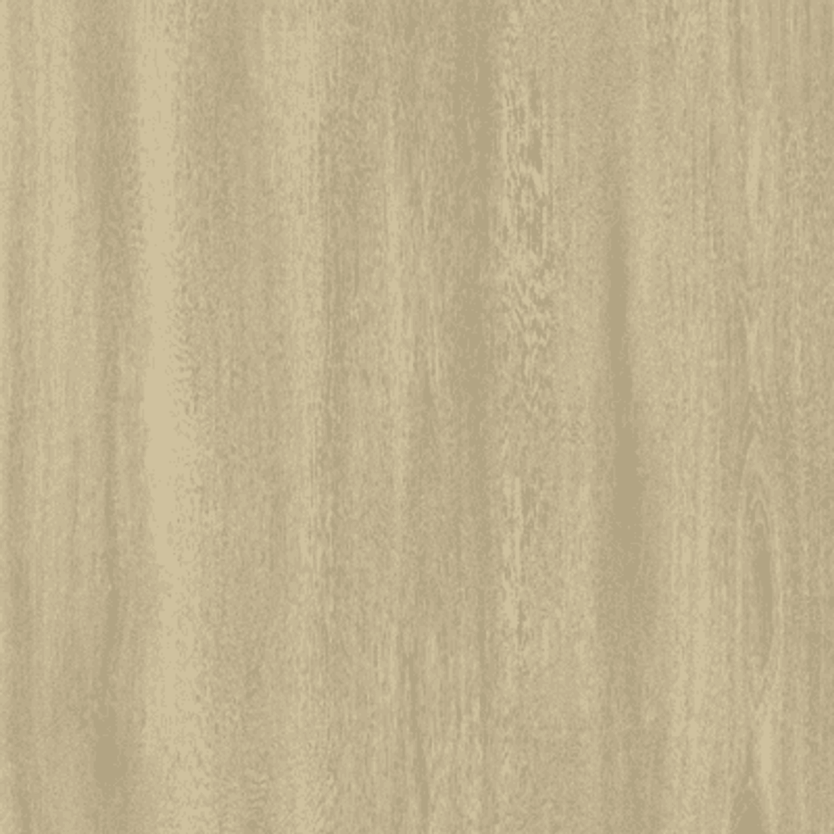 Beaches gallery detail image