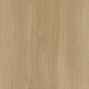 Rewind gallery detail image
