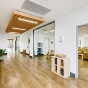 Timberline Plus | Bonafide gallery detail image