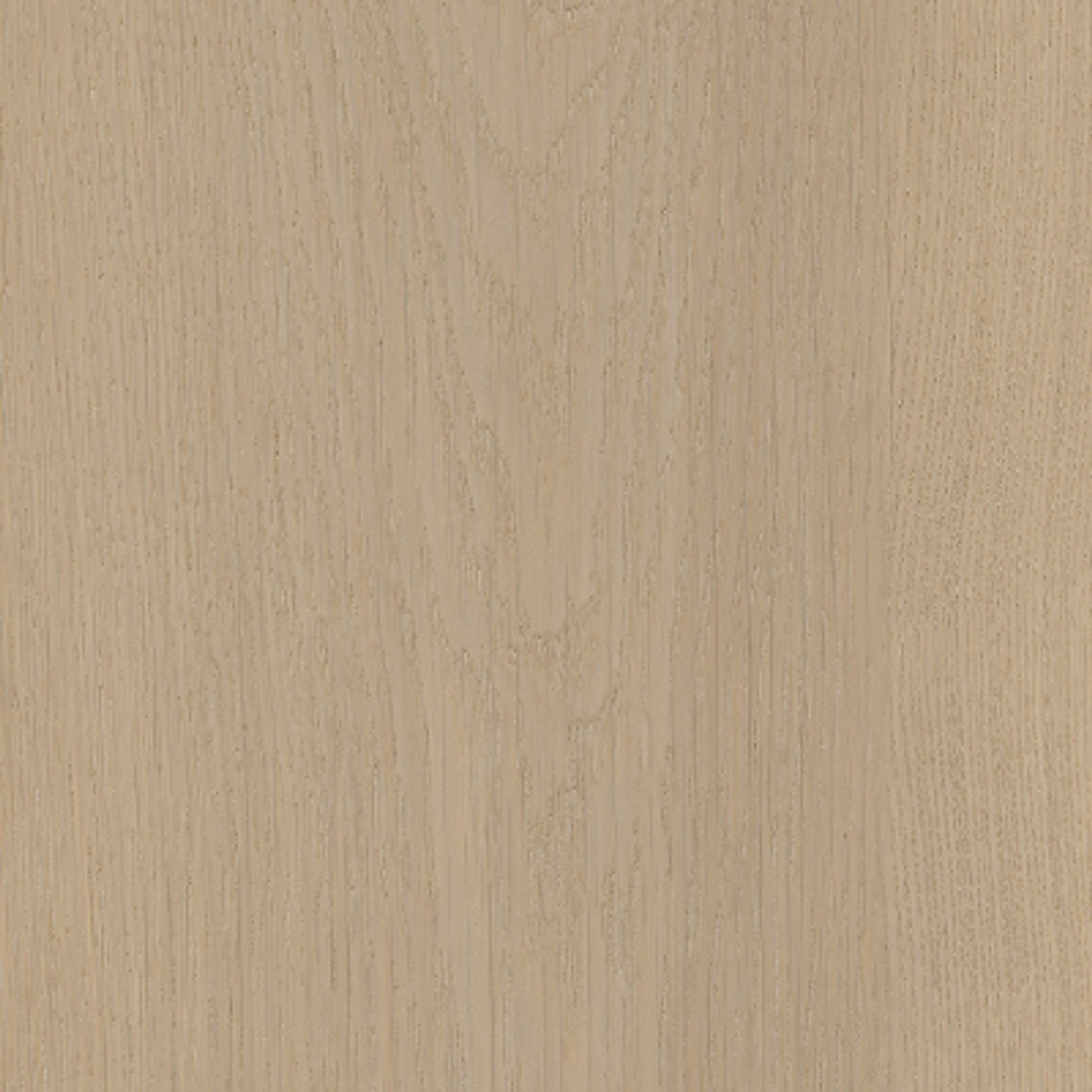 Rewind gallery detail image