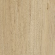 Rewind gallery detail image