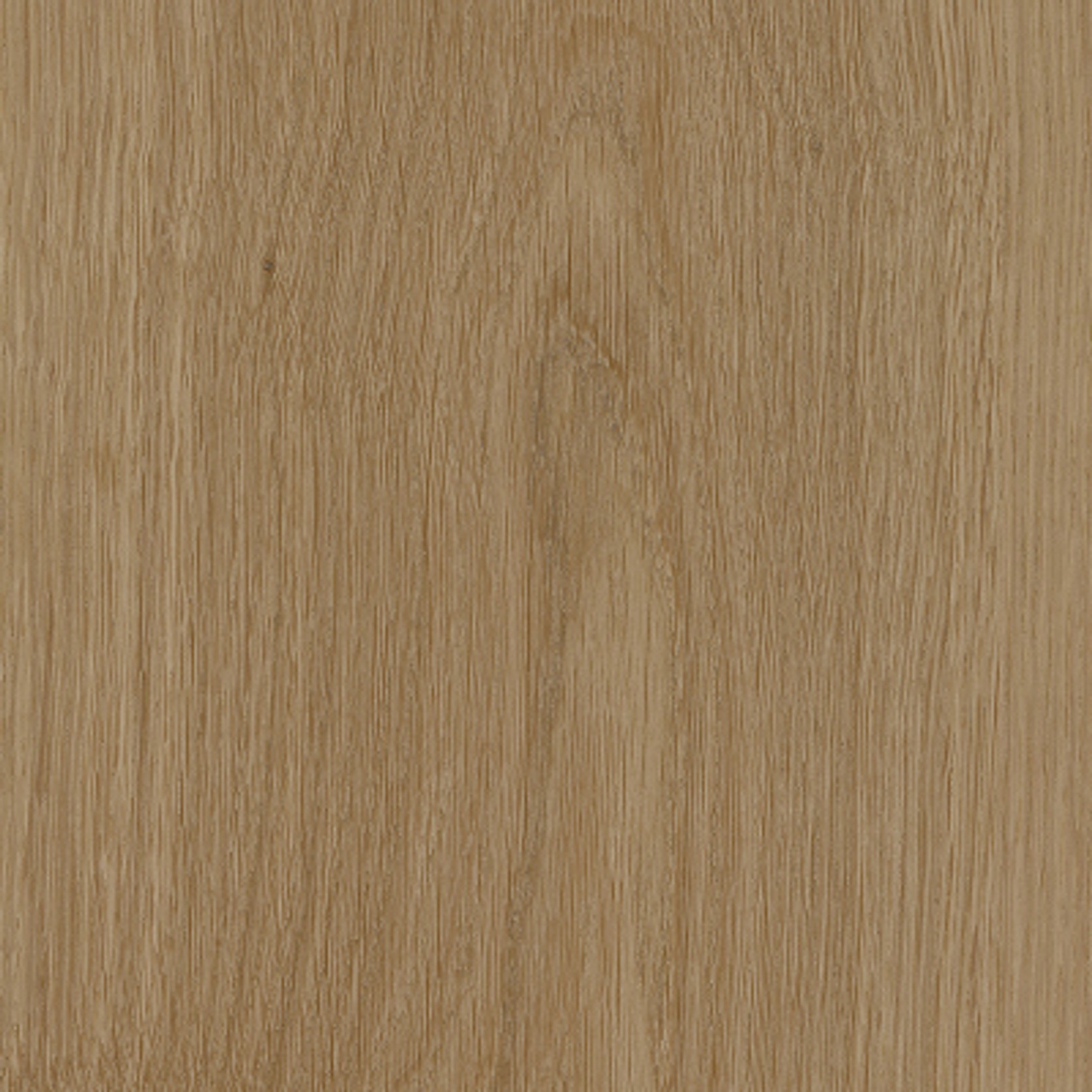 Rewind gallery detail image