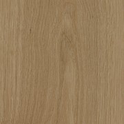 Rewind gallery detail image