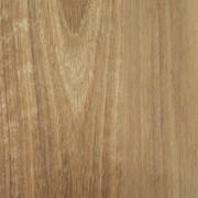 Aussie Plank gallery detail image