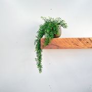 NZ Timber Fireplace Mantel gallery detail image