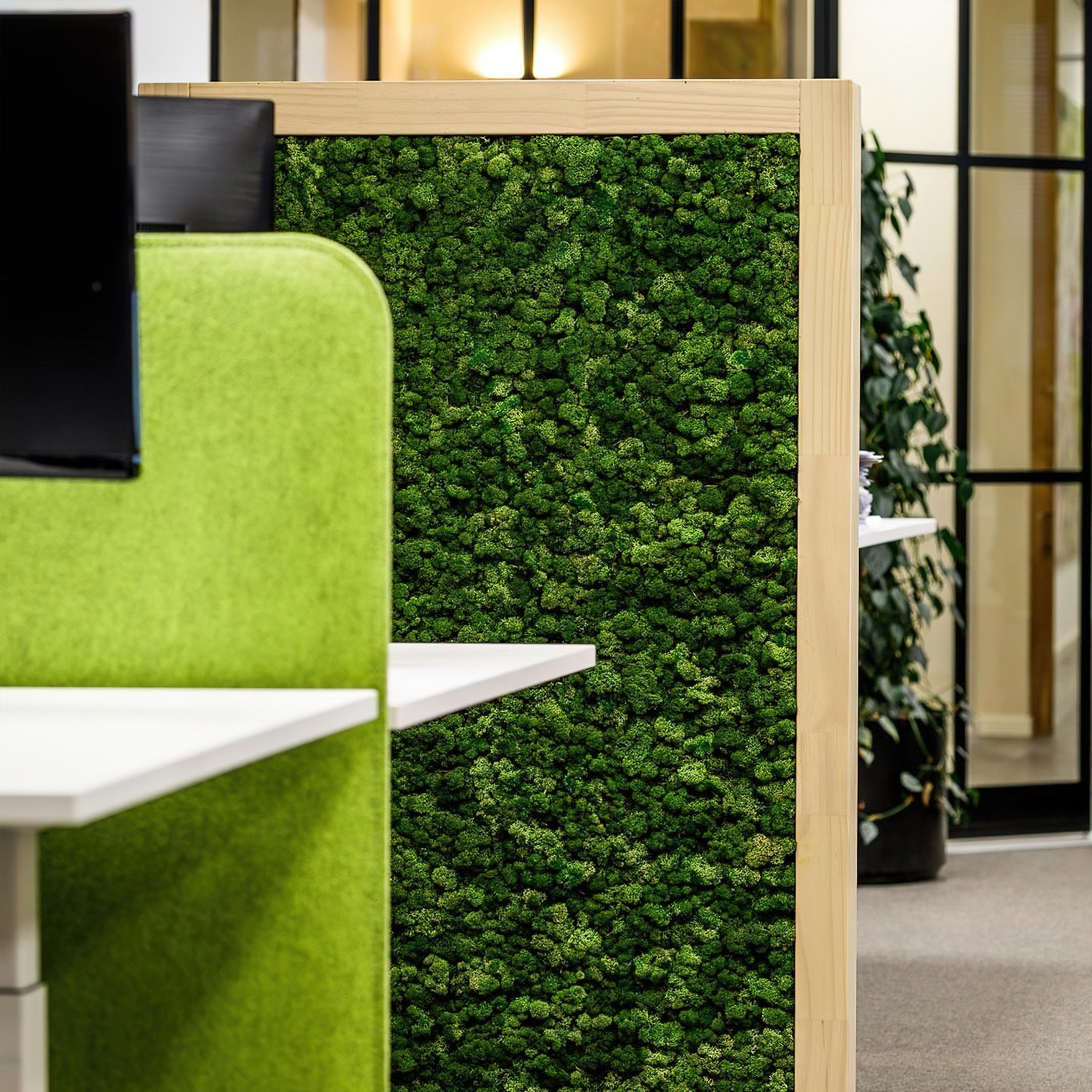 Acoustic Moss Panels gallery detail image