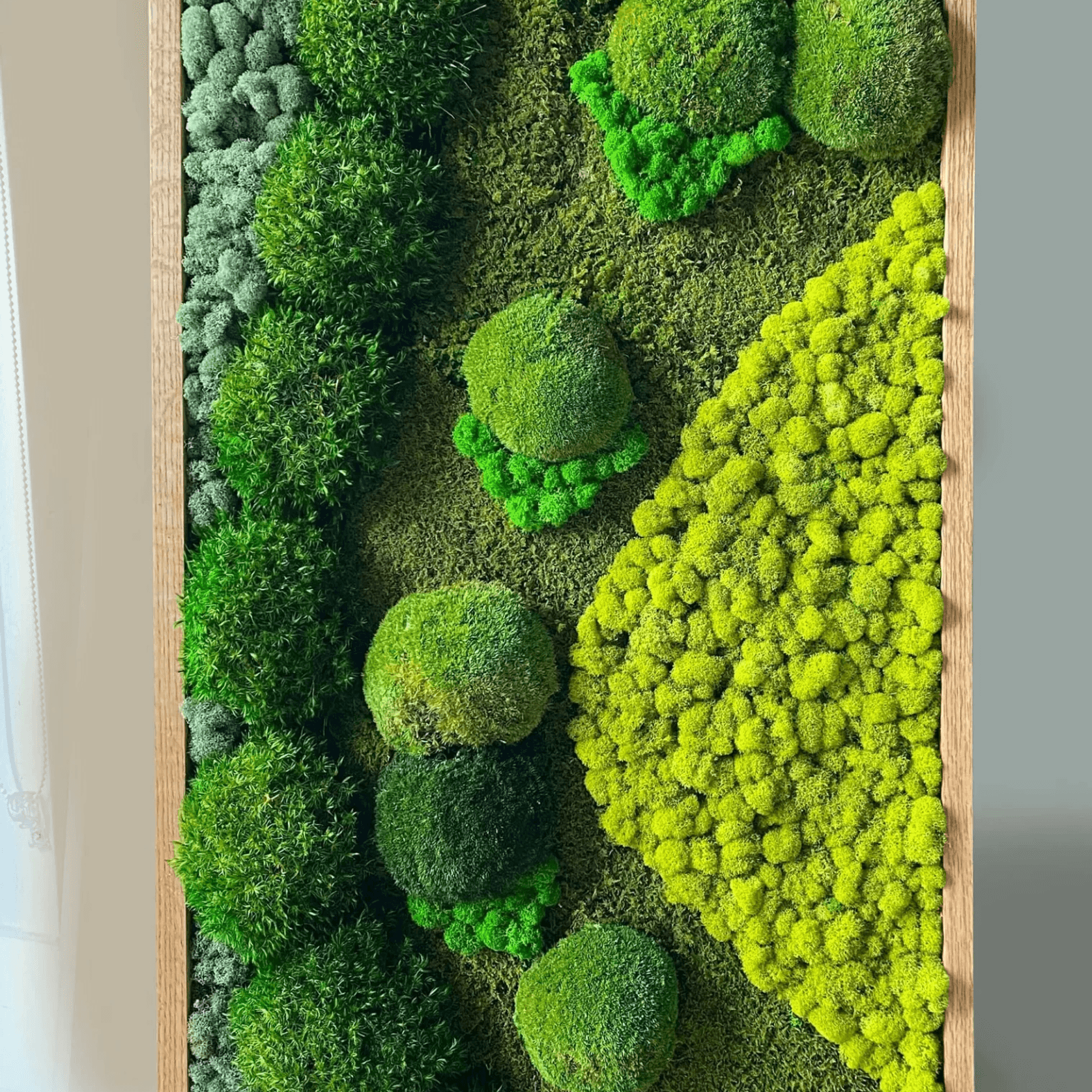 Moss Wall Art - RollingRock gallery detail image