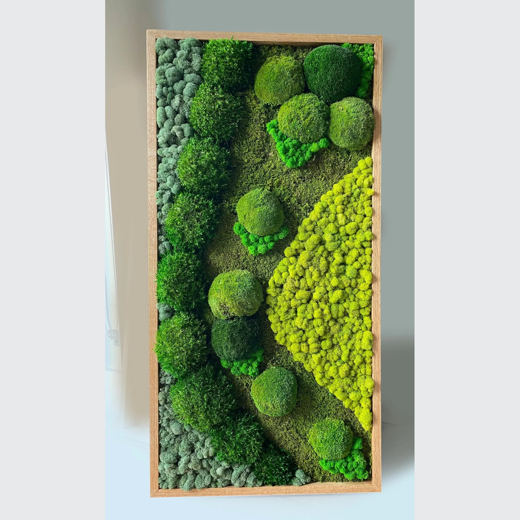 Moss Wall Art - RollingRock gallery detail image