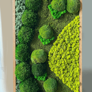 Moss Wall Art - RollingRock gallery detail image