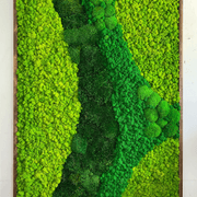Moss Wall Art - Cordillera gallery detail image
