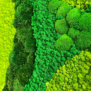Moss Wall Art - Cordillera gallery detail image