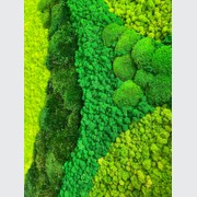 Moss Wall Art - Cordillera gallery detail image