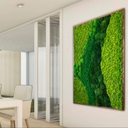 Moss Wall Art - Cordillera gallery detail image