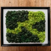 Moss Art by Gaea gallery detail image